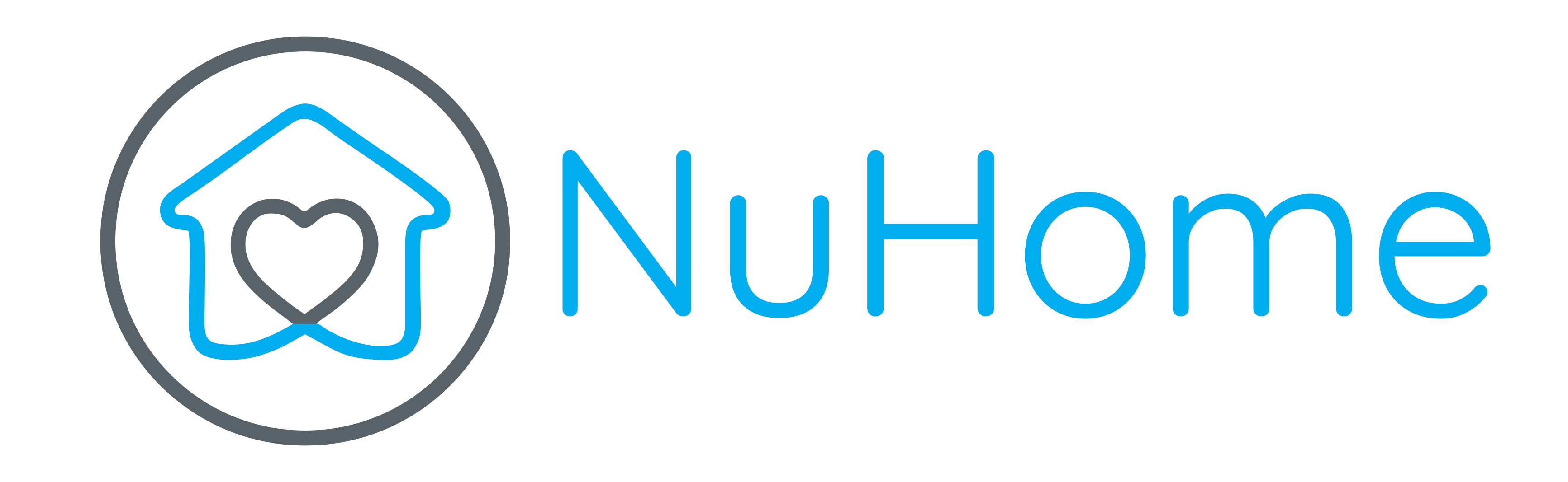 NuHome Solar Logo